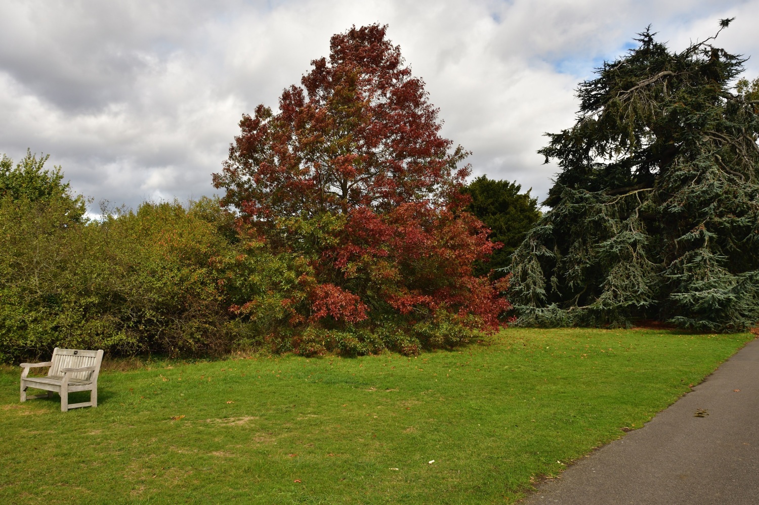 Colours of Autumn 2020 – Walks and Visits